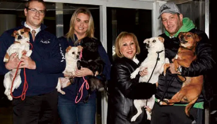Four people at the airport, each holding a rescued dog