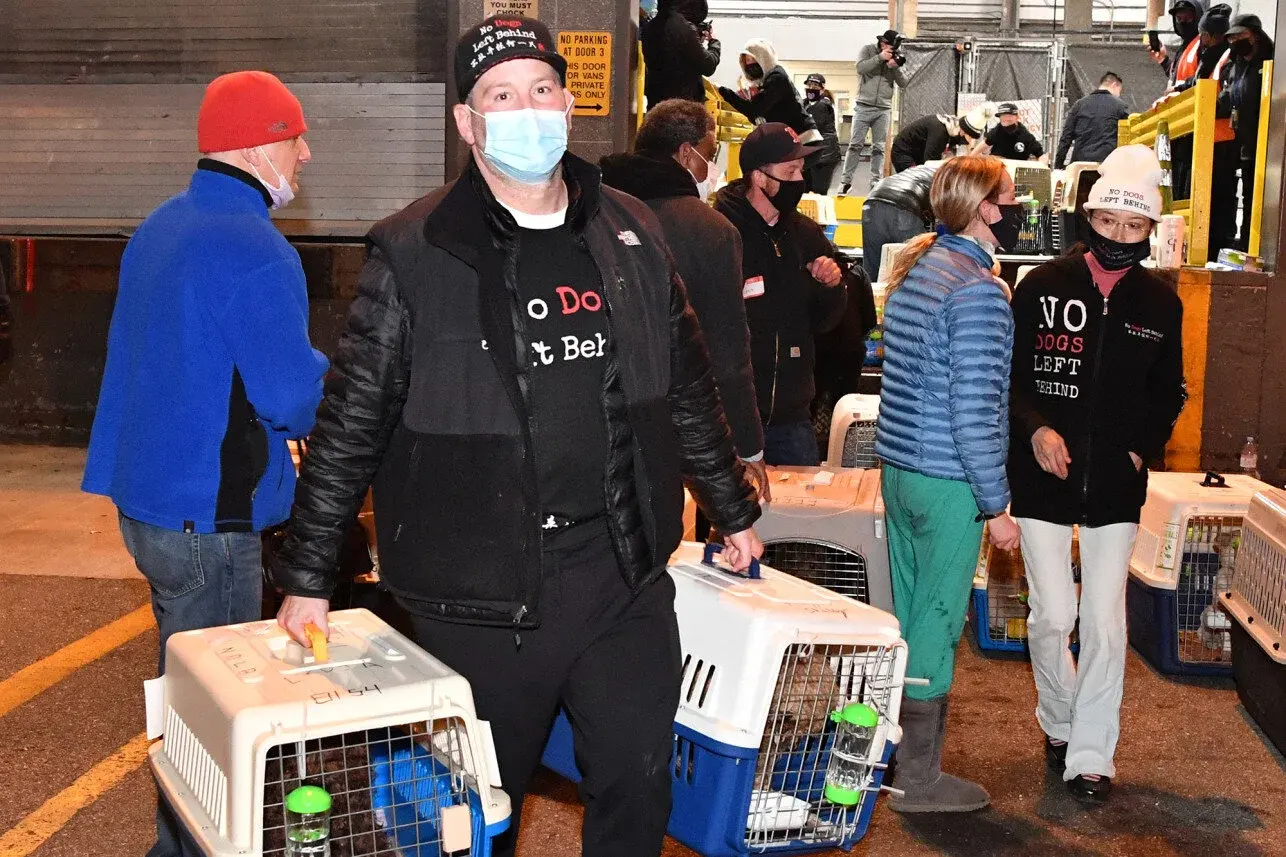 Crates being carried through the arrivals hall at JFK by volunteers in No Dogs Left Behind shirts