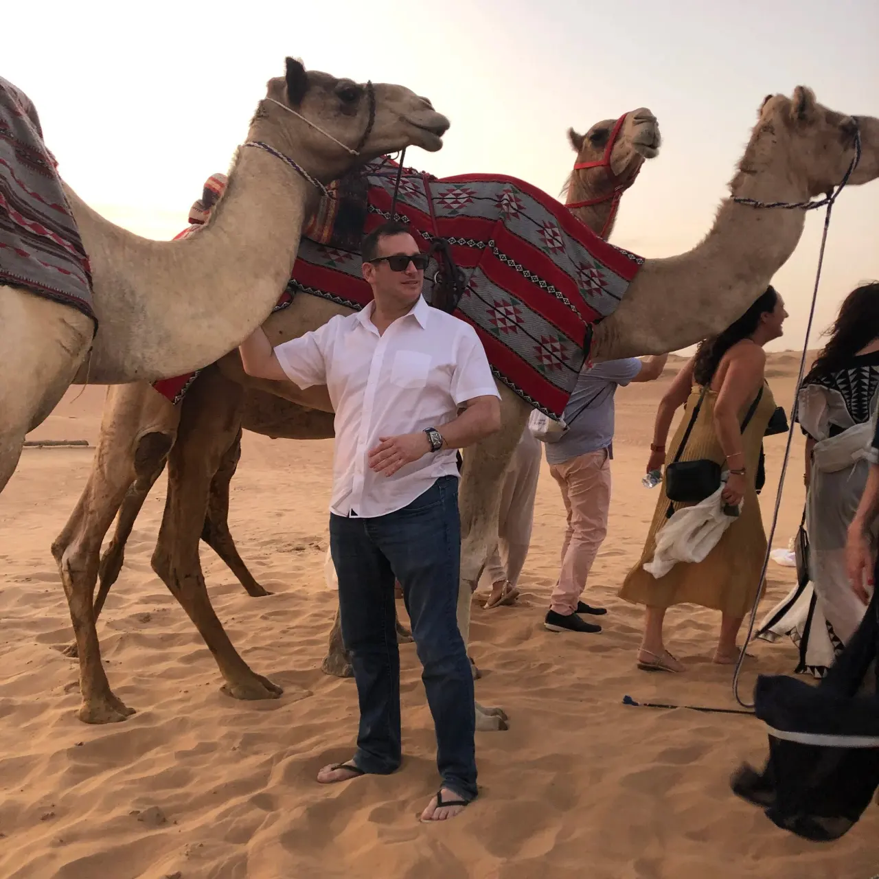 With camels in the desert