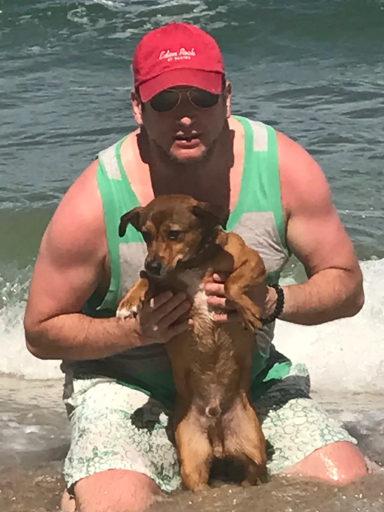 In the surf with a rescue dog